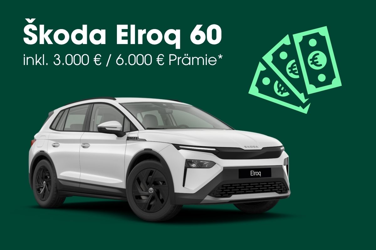 Abbildung des Škoda Elroq 60