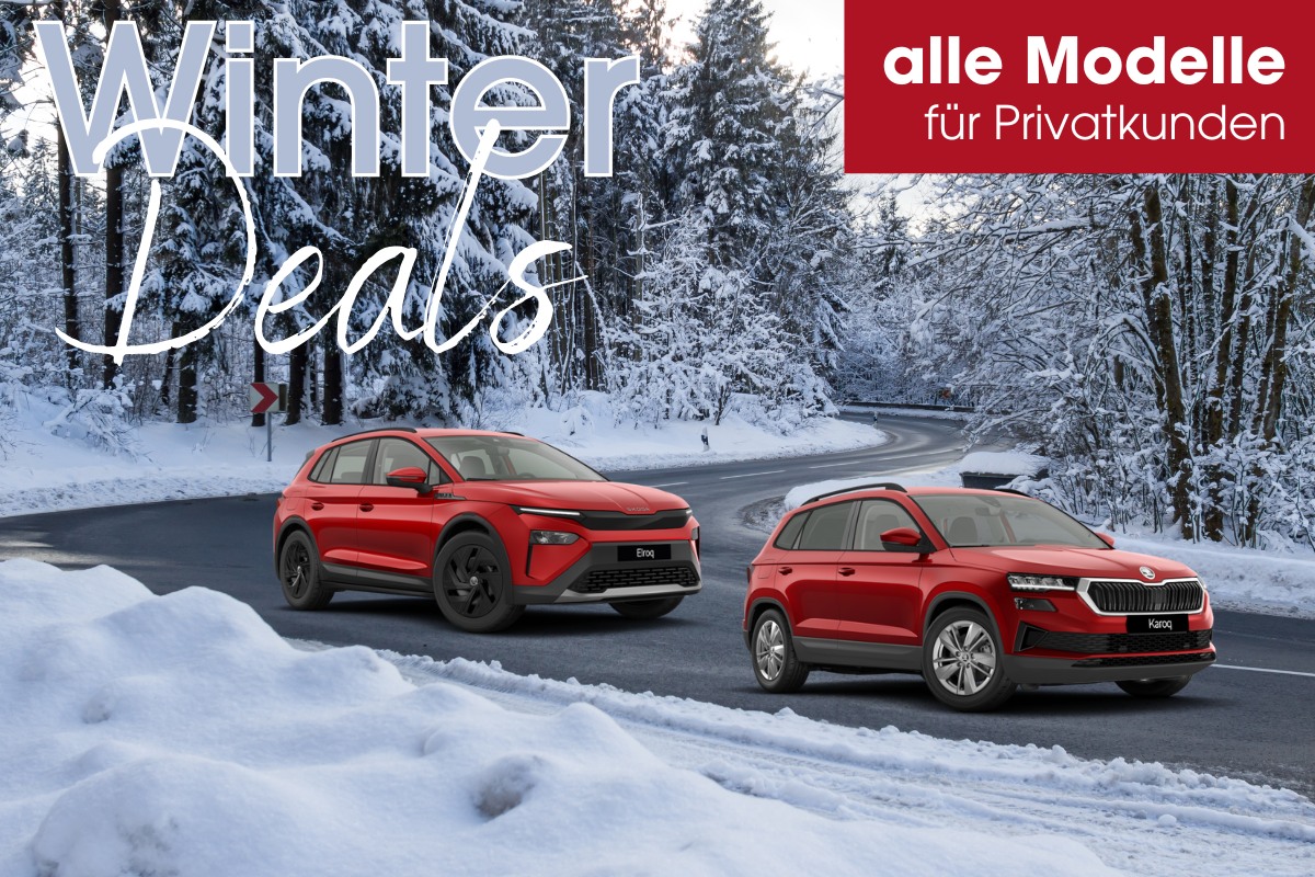 B13 Winterdeals für Privatkunden