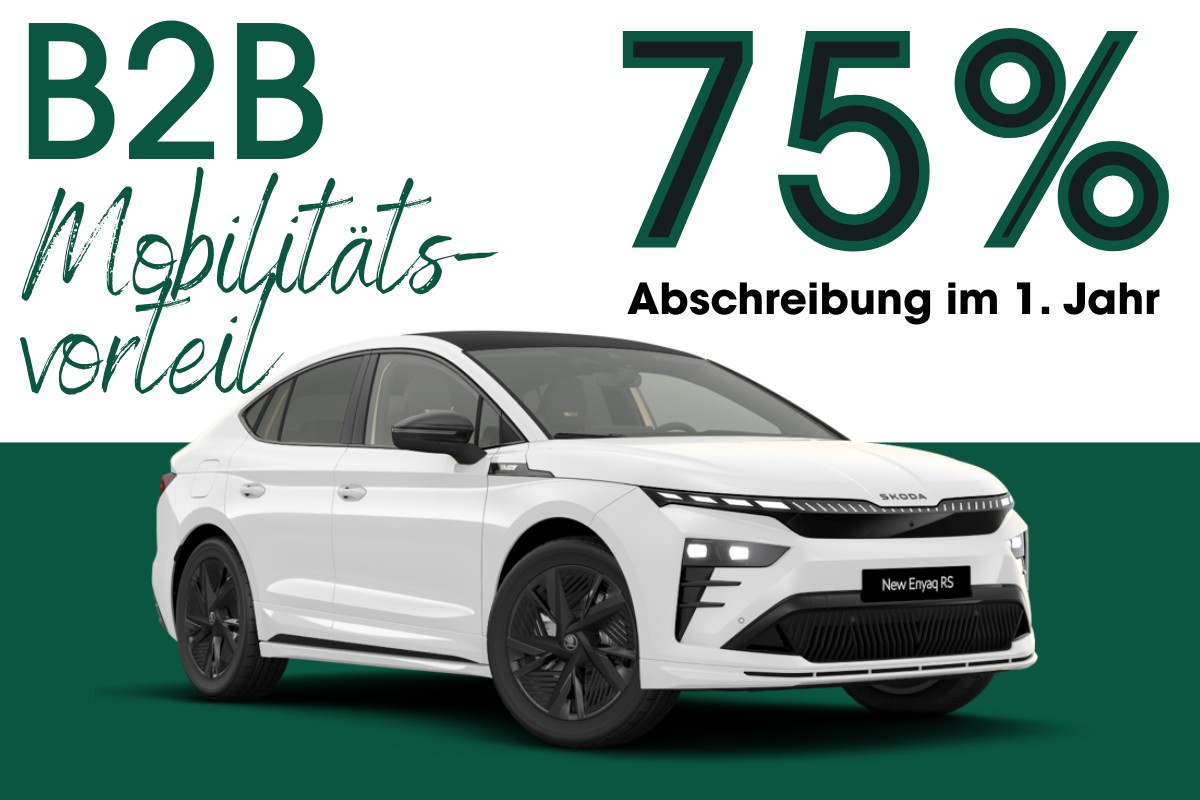 B2B E-Mobilitätsvorteil