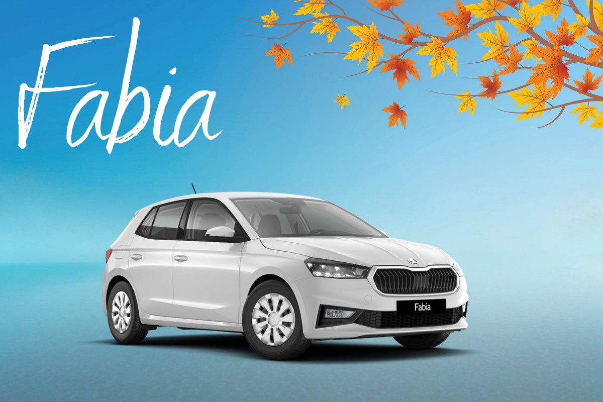 Skoda Fabia Angebot