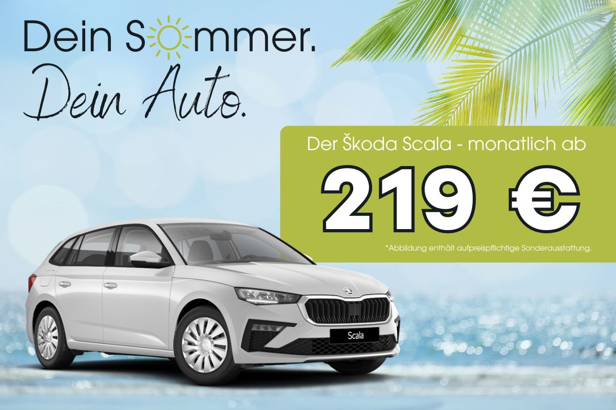 Scala Angebot 219 €