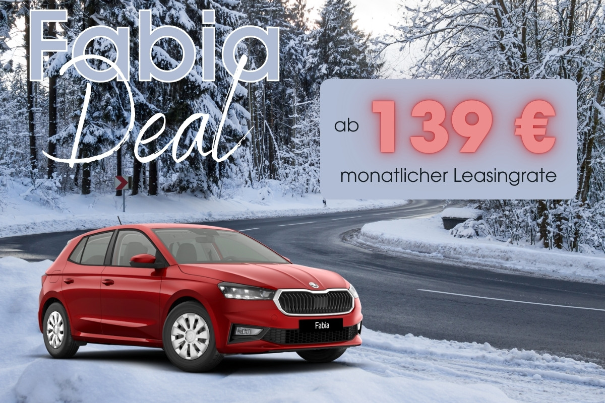 Skoda Fabia Angebot