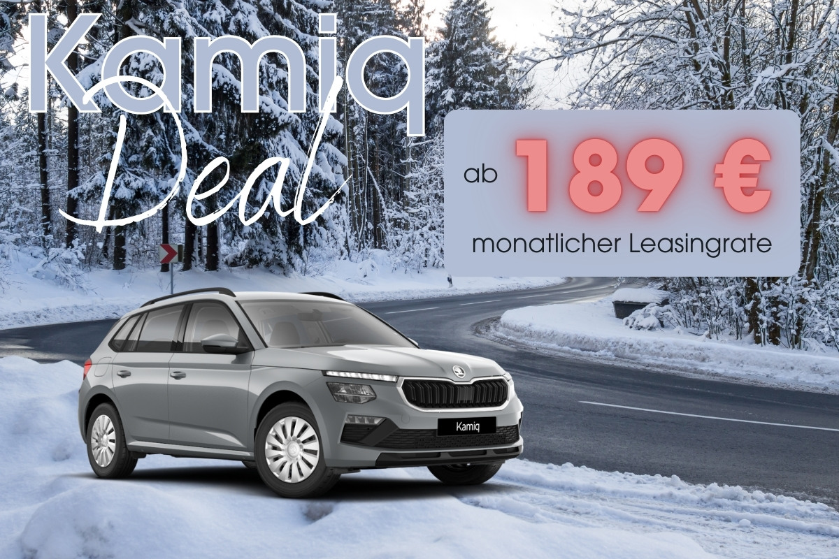 Kamiq Bild